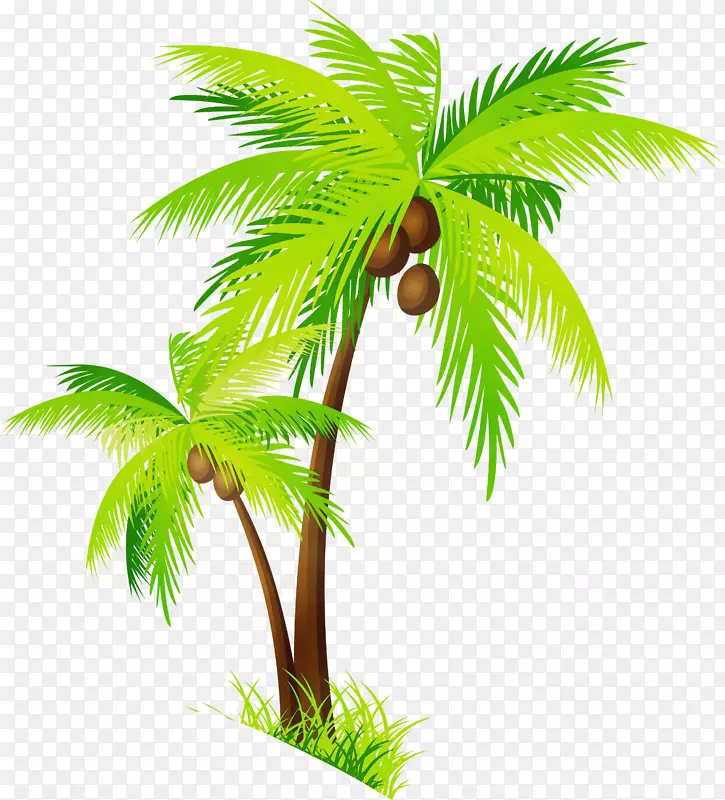 剪贴画椰子png图片棕榈树透明度