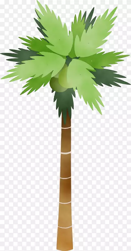 剪贴画棕榈树图形png图片
