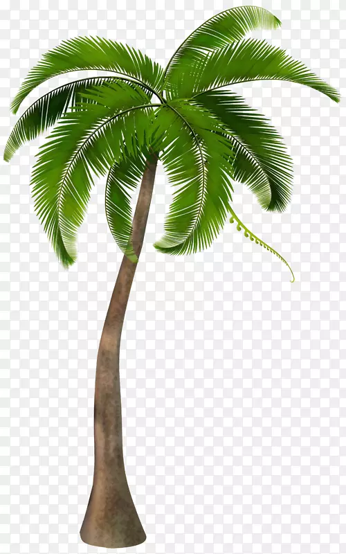 png图片剪辑艺术棕榈树图像