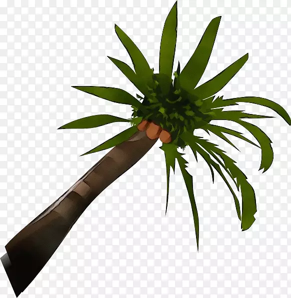剪贴画图形棕榈树开放椰子