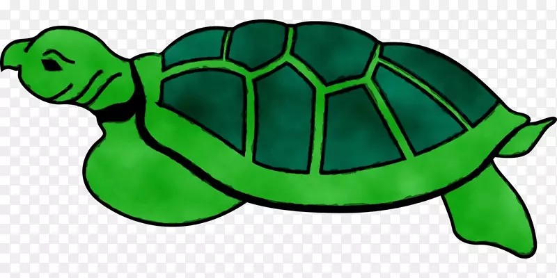 现代海龟爬行动物剪贴画龟