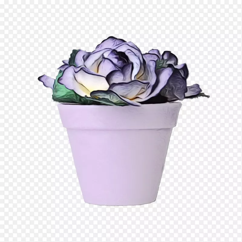 玫瑰切花花束花瓣