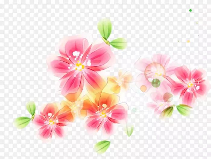花卉木乃伊(St.au.150 min.v.unc.nr)广告花卉设计桌面壁纸