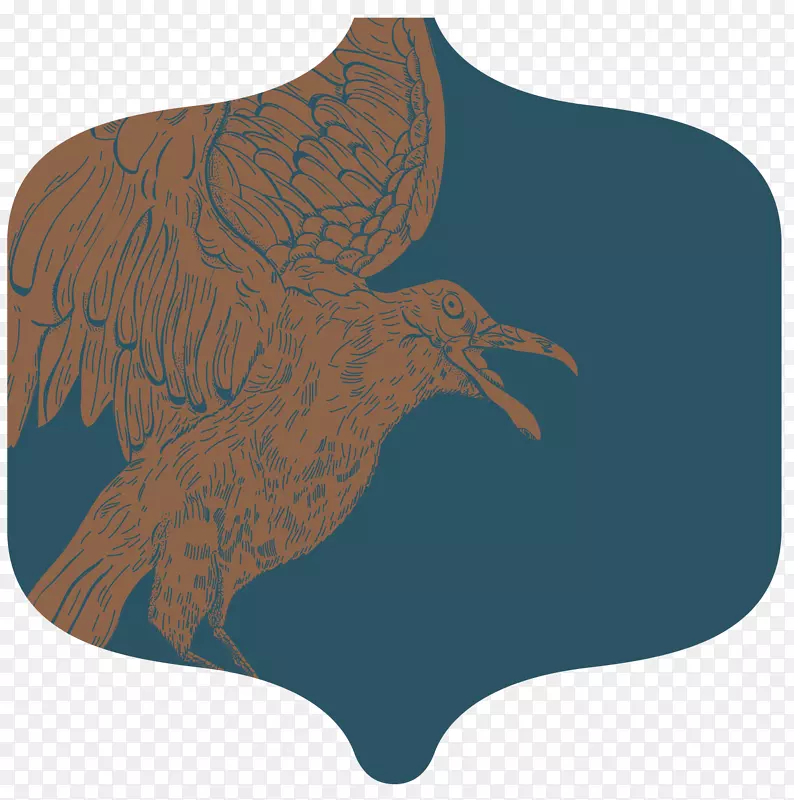 图片鹰纸插图服装-格里芬巴布亚新几内亚鹰