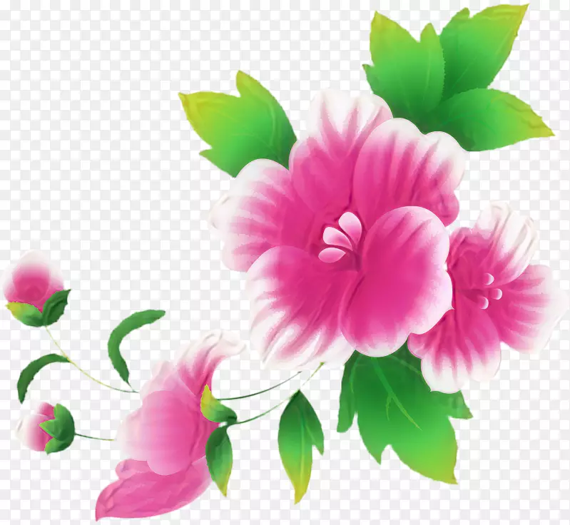 剪贴画开放部分粉红色花朵免费内容