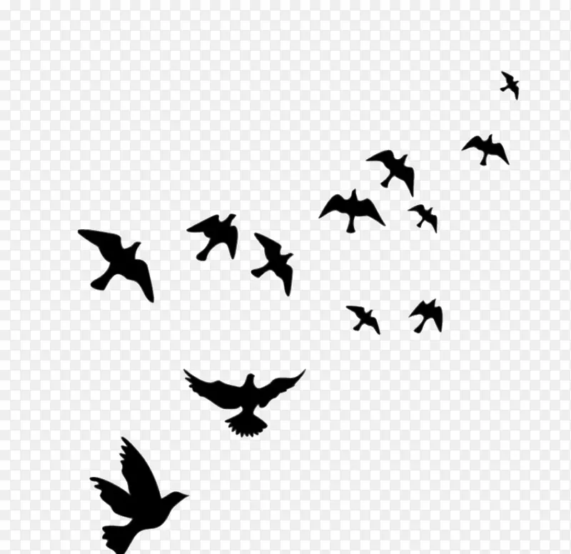 鸟墙贴纸飞行壁画-天空中的鸟