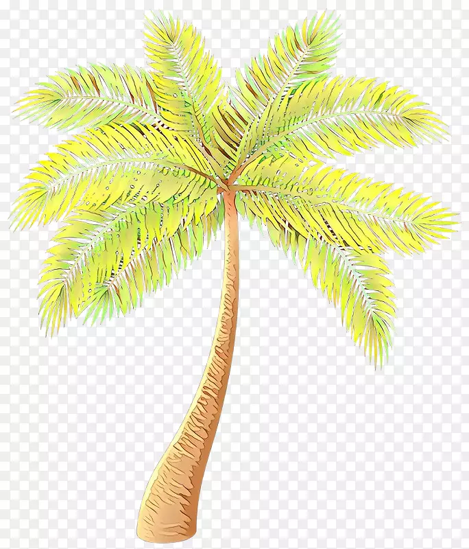 亚洲棕榈枣棕榈树椰子树