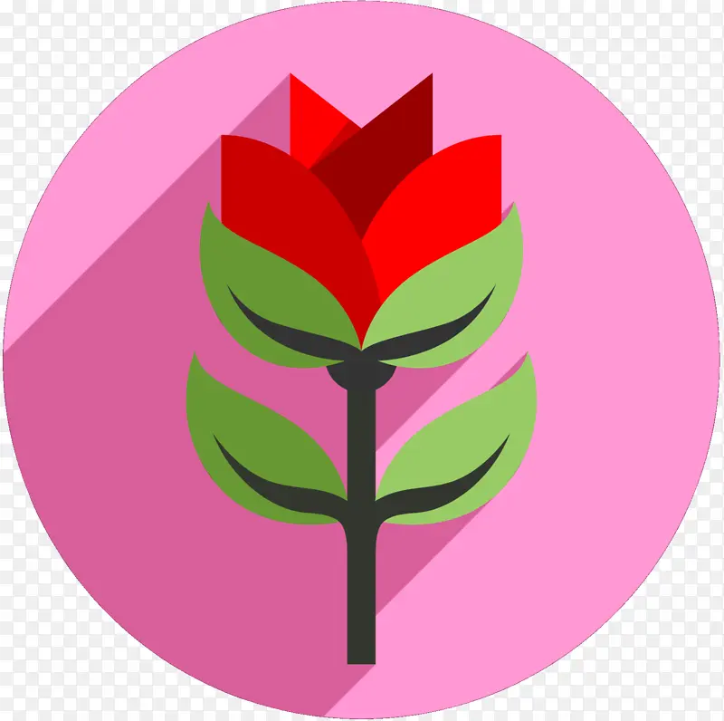 叶子 树 植物