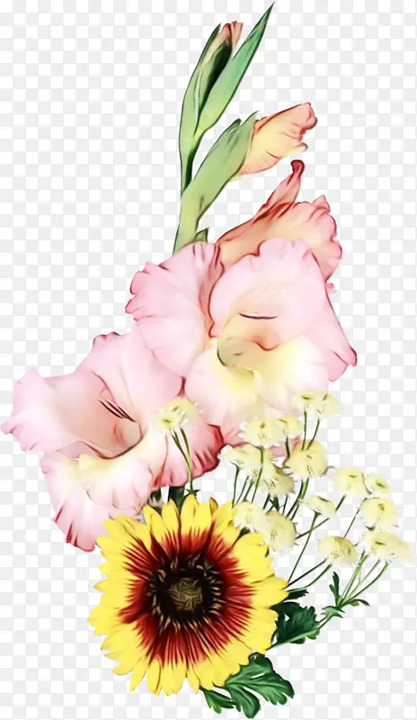 唐菖蒲 花束 花卉设计
