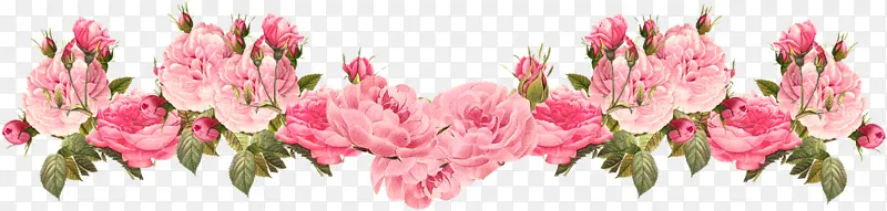 采购产品玫瑰 粉红色的花 花