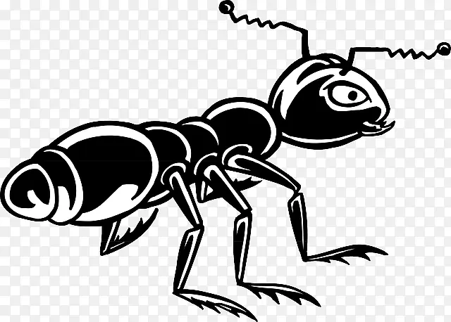 蚂蚁 昆虫 害虫