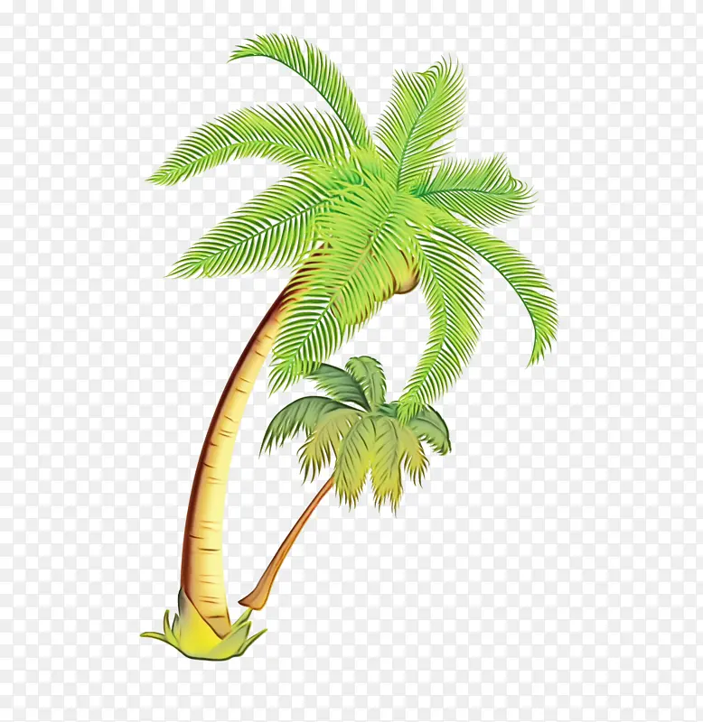 椰子 棕榈树 卡通
