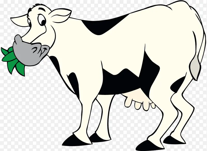 奶牛 绵羊 泽西牛