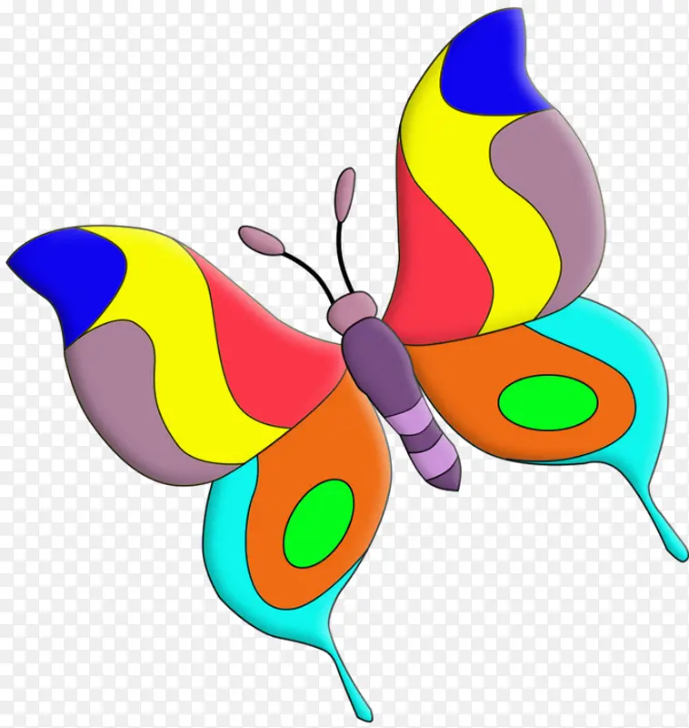 蝴蝶 绘画 昆虫