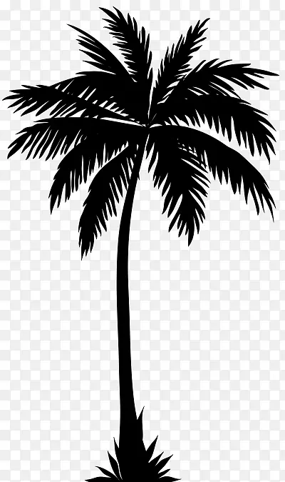 棕榈树 侧影 椰子树