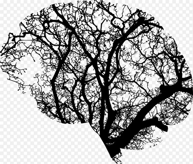 大脑 人脑 树