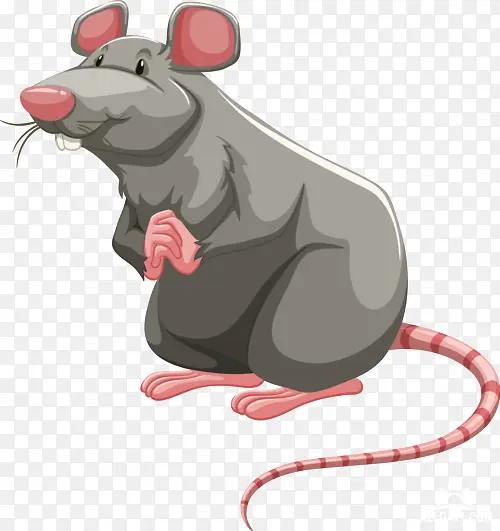 褐鼠 实验室鼠 鼠