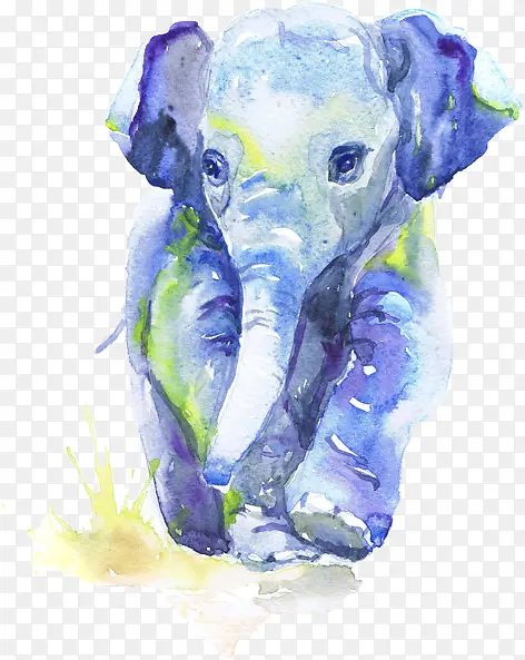 水彩画 绘画 印度象