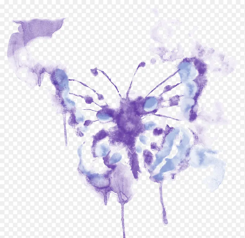 蝴蝶 水彩画 绘画