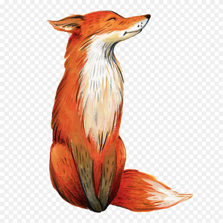 水彩画 狐狸 绘画