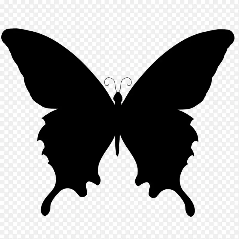 蝴蝶 剪影 飞蛾和蝴蝶