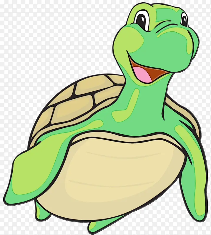 海龟 乌龟 爬行动物