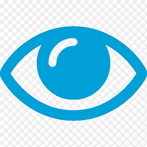眼睛 眼科学 视觉感知