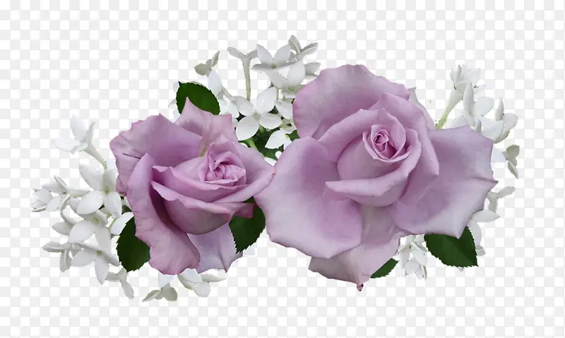 淡紫色 婚礼请柬 花朵