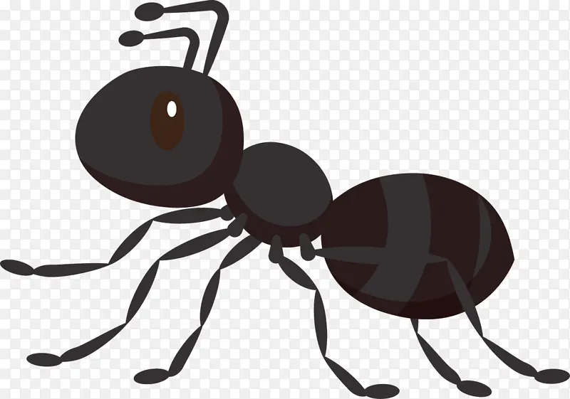 蚂蚁 毛毡 绘画