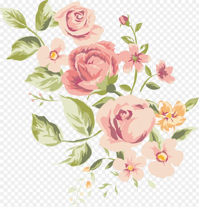花卉 花园玫瑰 绘画