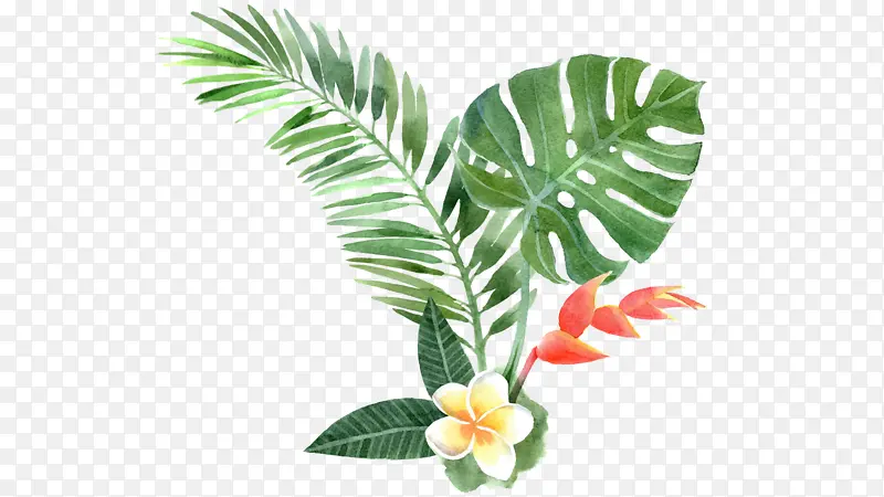 热带 植物 绘画