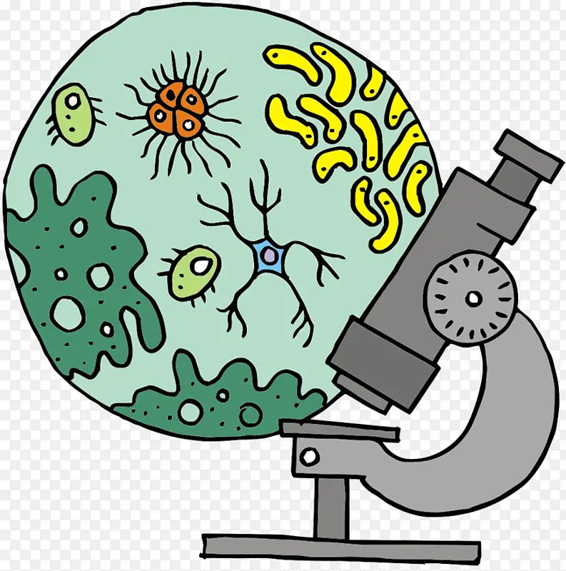 显微镜 生物剪贴画 卡通
