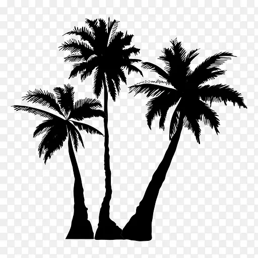 棕榈树 剪影 绘画