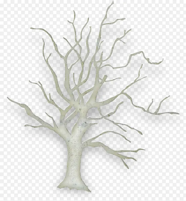 树木 绘画 植物