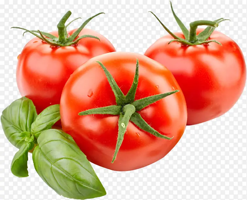 罗马番茄 蔬菜 食品