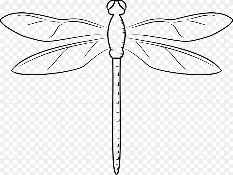 蜻蜓 昆虫 网页设计