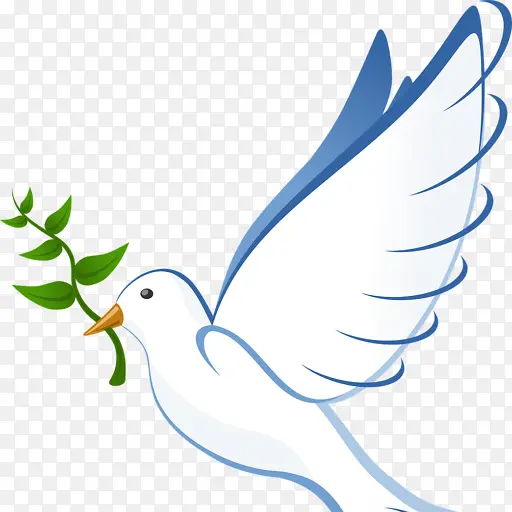 鸽子和鸽子 橄榄枝 和平符号