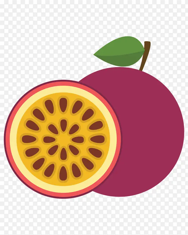 西番莲果 水果 绘画