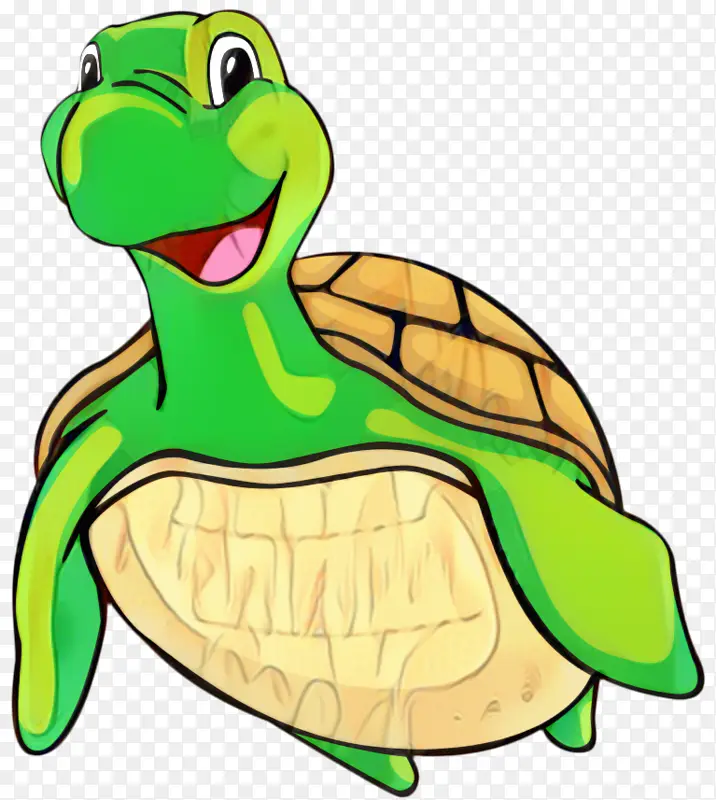 乌龟 海龟 喙