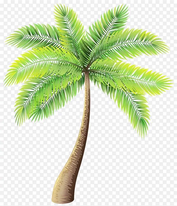 棕榈树 卡通 树