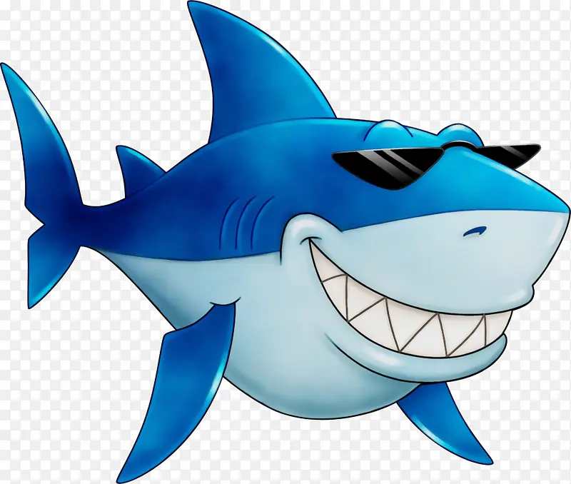 安魂鲨 大白鲨 鲨鱼