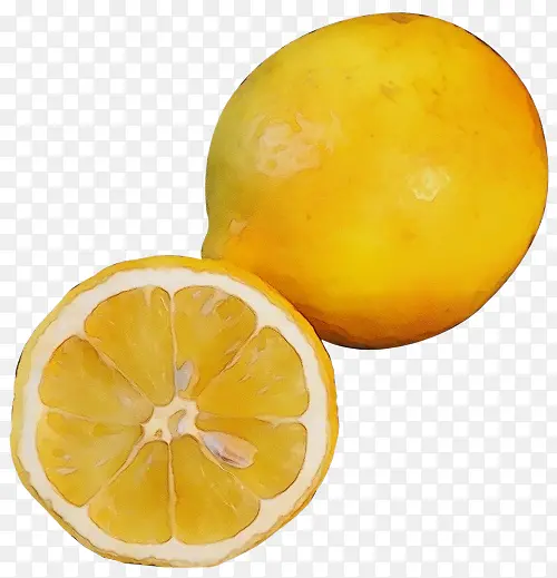 柠檬 香橼 葡萄柚