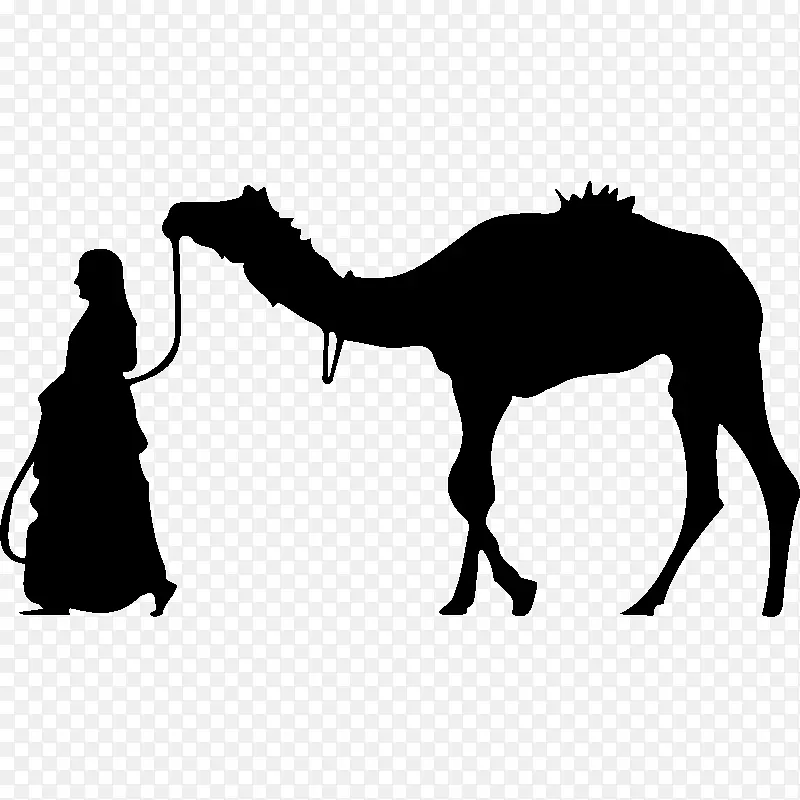 骆驼 绘画 萨奇艺术