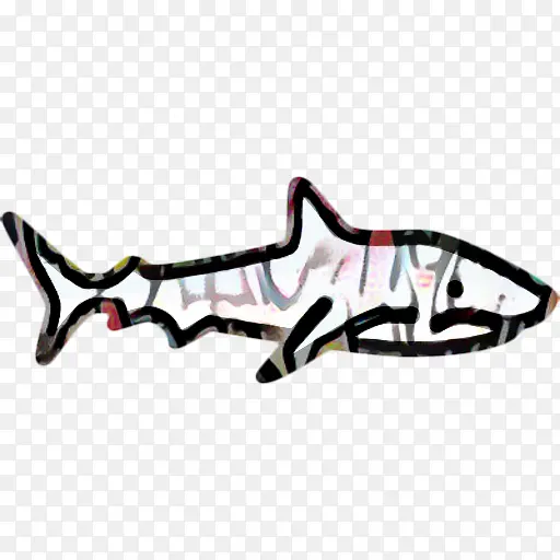 鲨鱼 鱼 软骨鱼