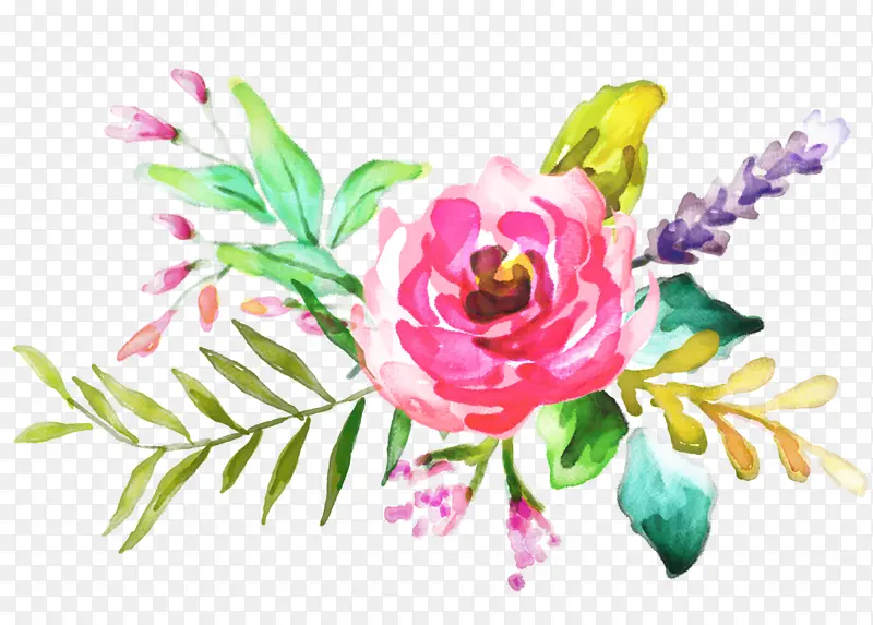 花卉设计 水彩画 绘画