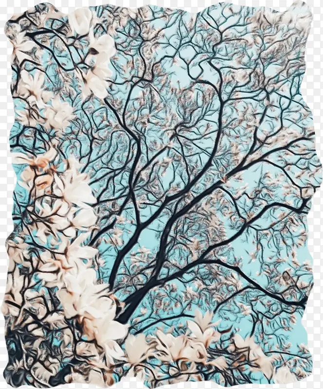 电脑显示器 绘图 花卉