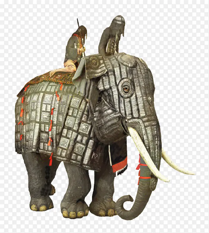 印度象 大象 非洲丛林象