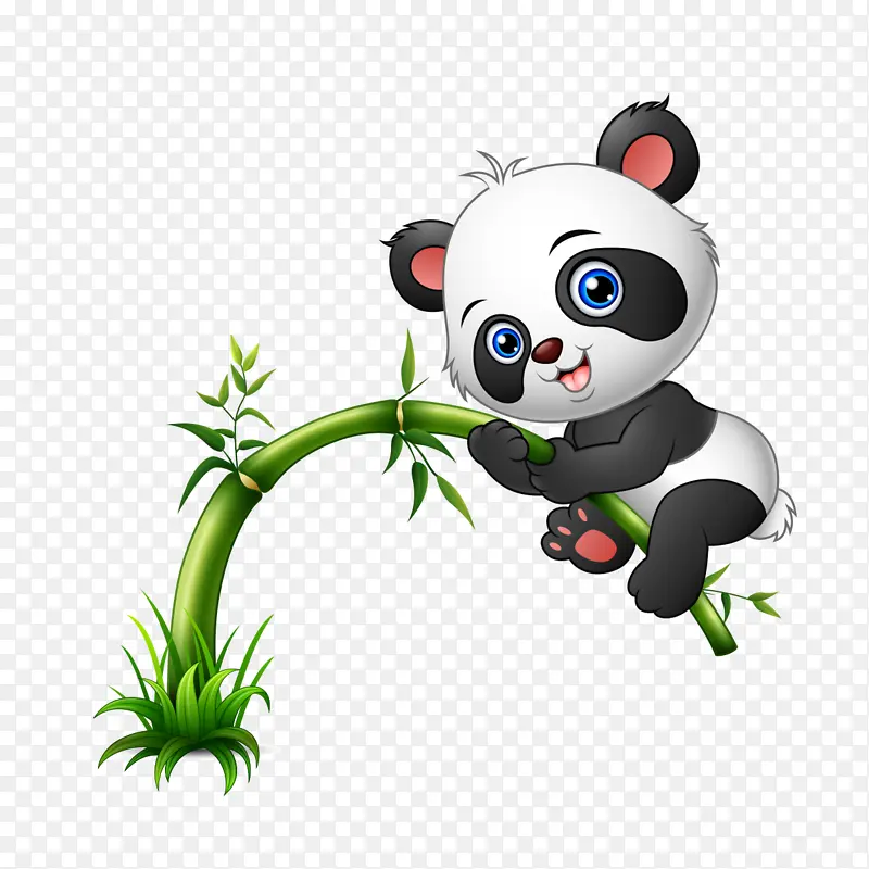 大熊猫 熊 可爱