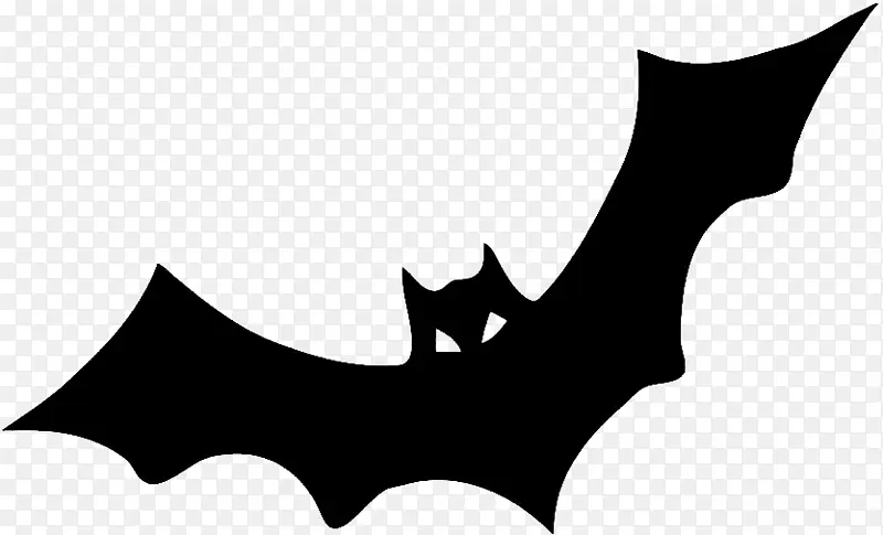 蝙蝠 文件 吸血鬼蝙蝠