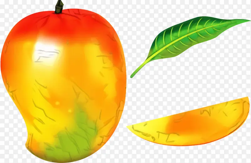 绘画 芒果 水果